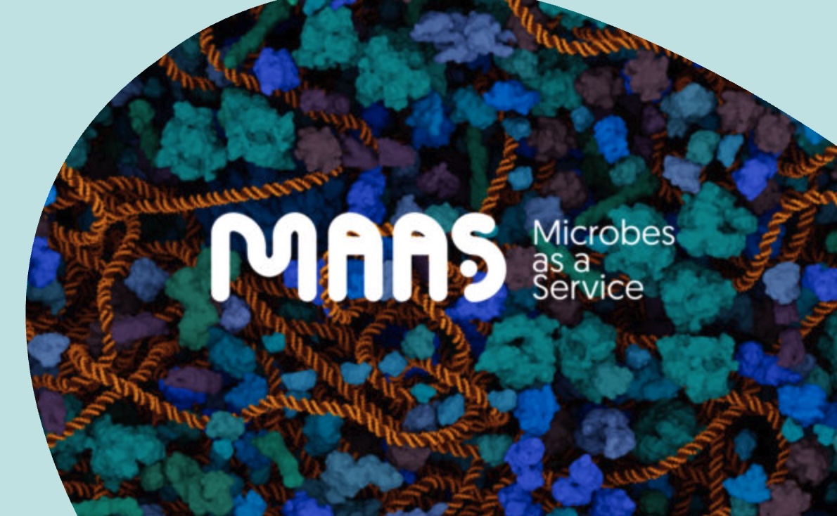 Partnering with microbes to tackle global environmental challenges